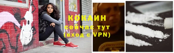 стафф Баксан