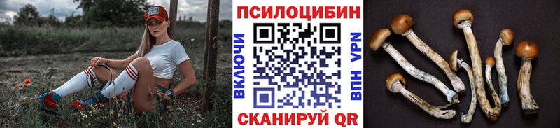 Галлюциногенные грибы Psilocybe Петровск-Забайкальский