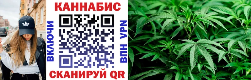 блэк спрут ССЫЛКА  Петровск-Забайкальский  Каннабис план 